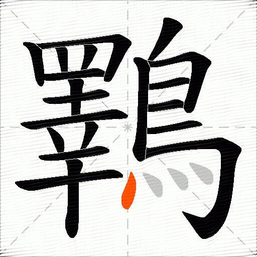 鸅