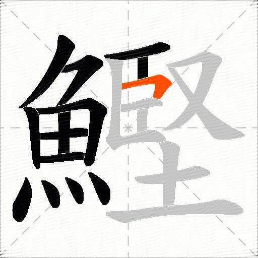 鰹