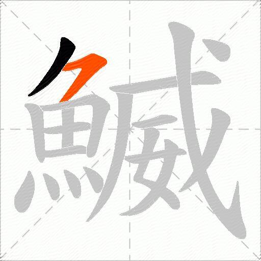 鰄