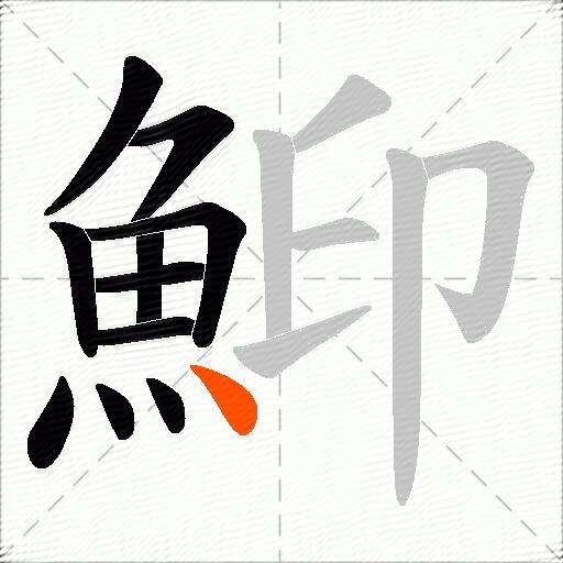 鮣