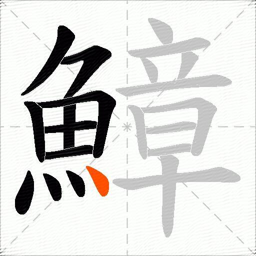 鱆