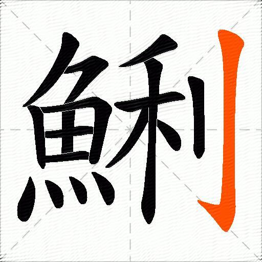 鯏