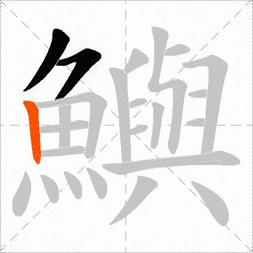 鱮