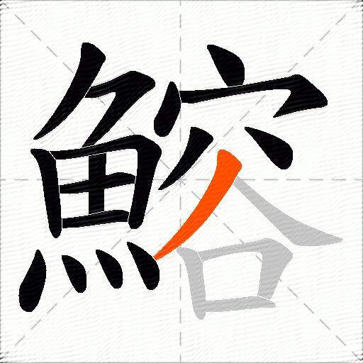 鰫