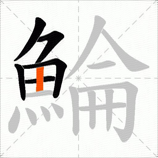 鯩