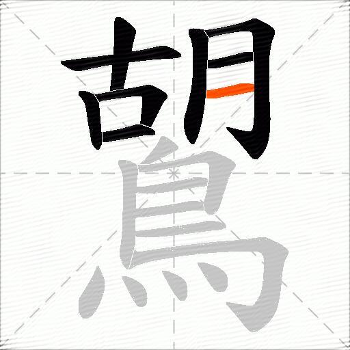 鶦