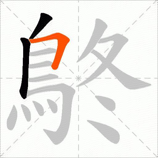 鴤