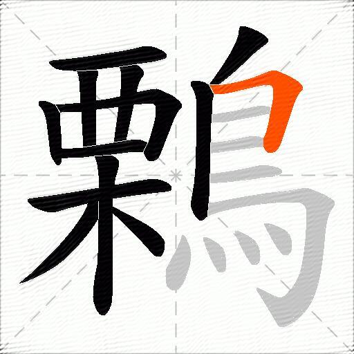 鷅