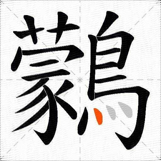 鸏