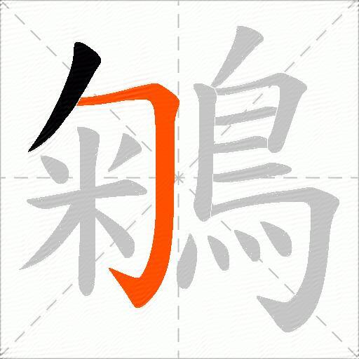鵴