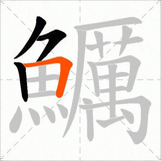 鱱