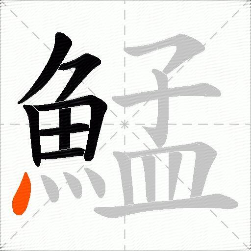 鯭