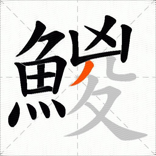 鯼