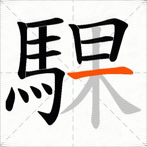 騍
