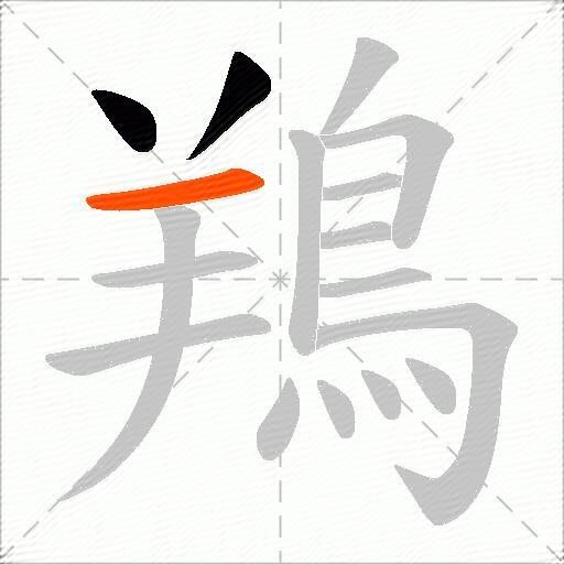 鴹