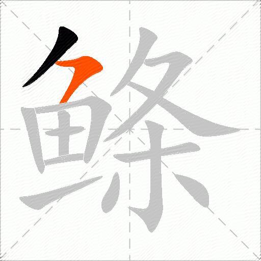 鲦