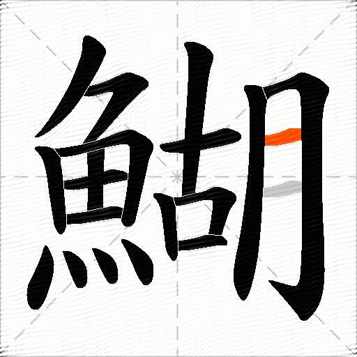 鰗
