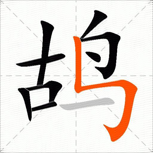 鸪