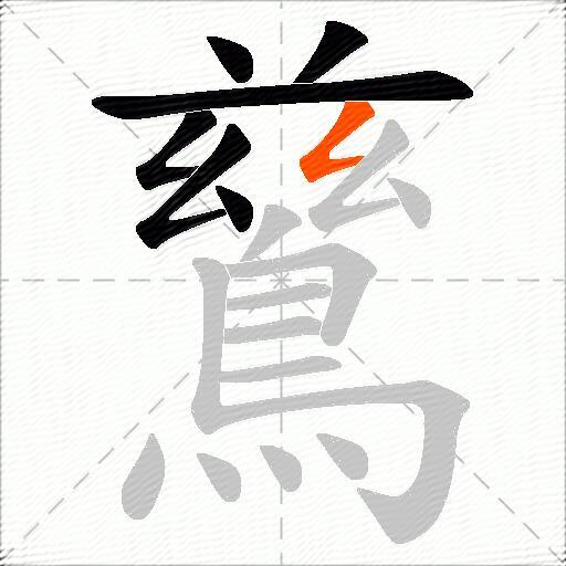 鶿