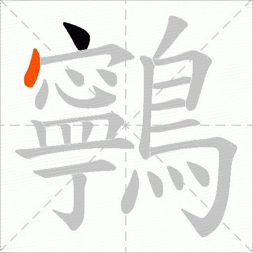 鸋