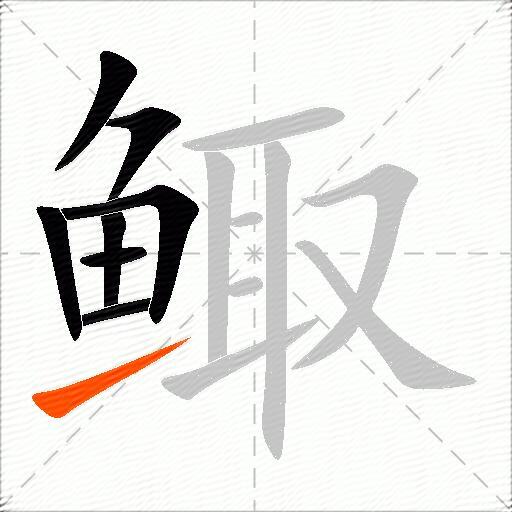鲰
