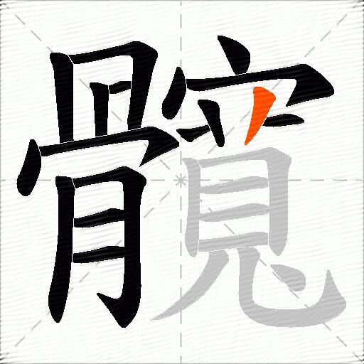 髖