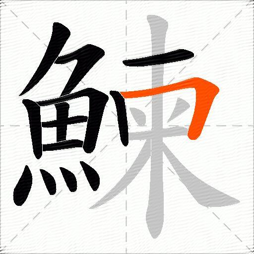 鰊
