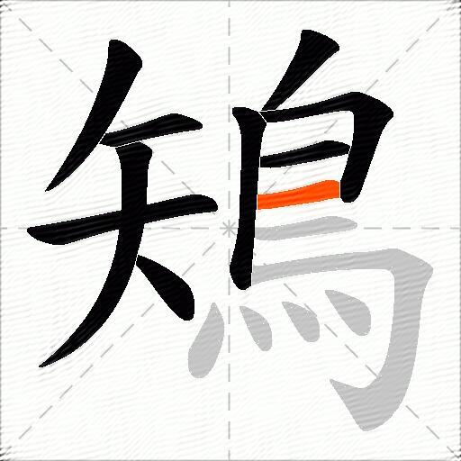 鴙