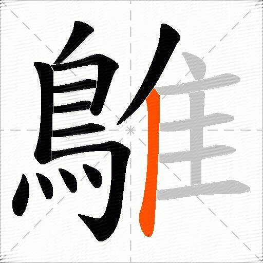 鵻