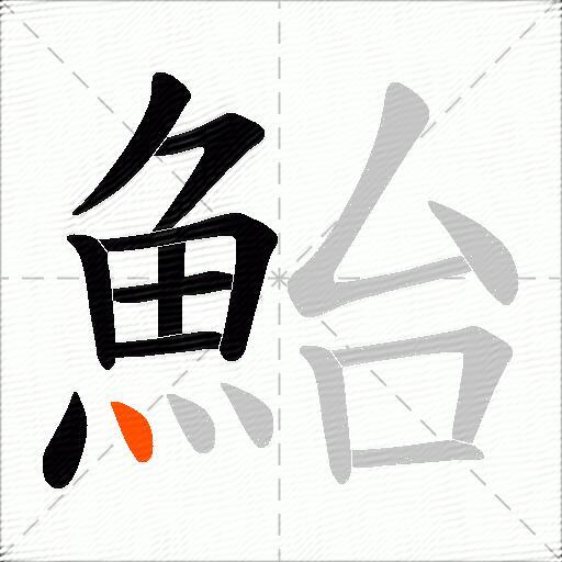 鮐