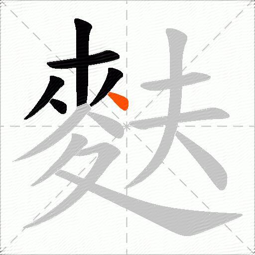 麩