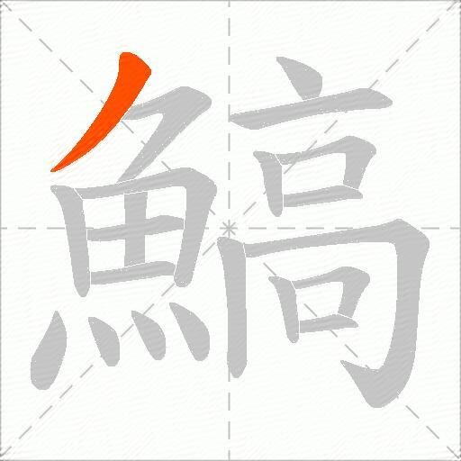 鰝
