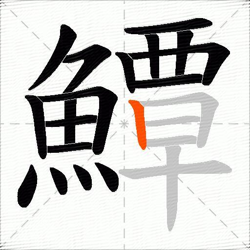 鱏