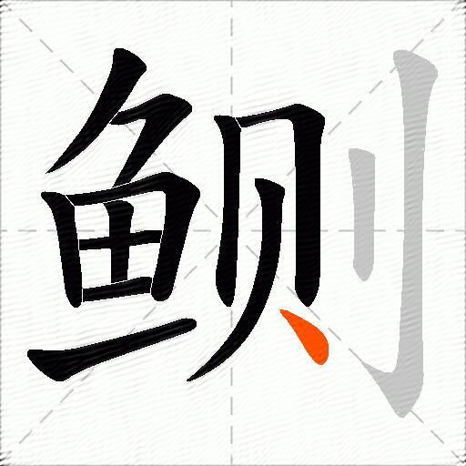 鲗