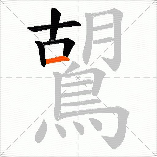 鶦
