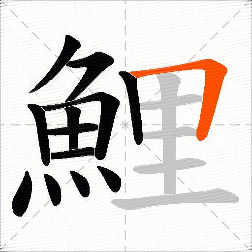 鯉
