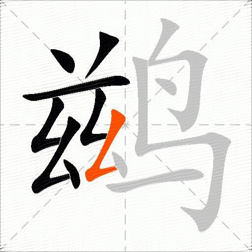 鹚