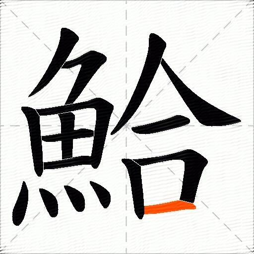 鮯