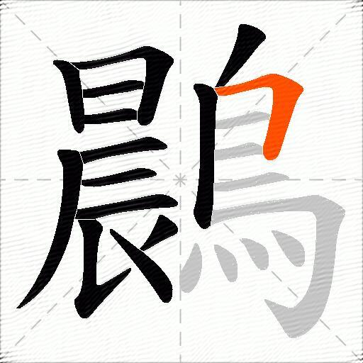 鷐