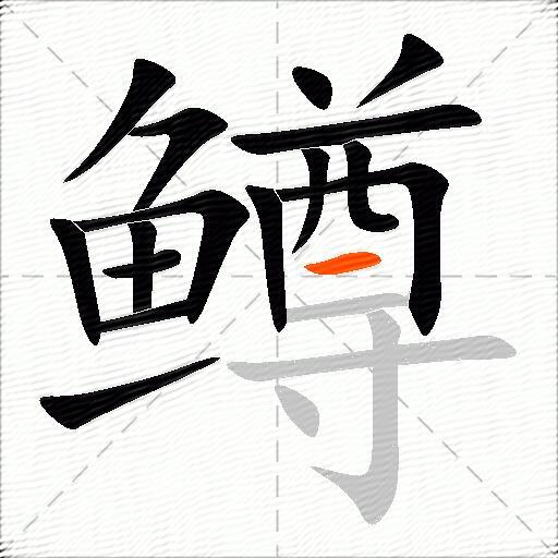 鳟