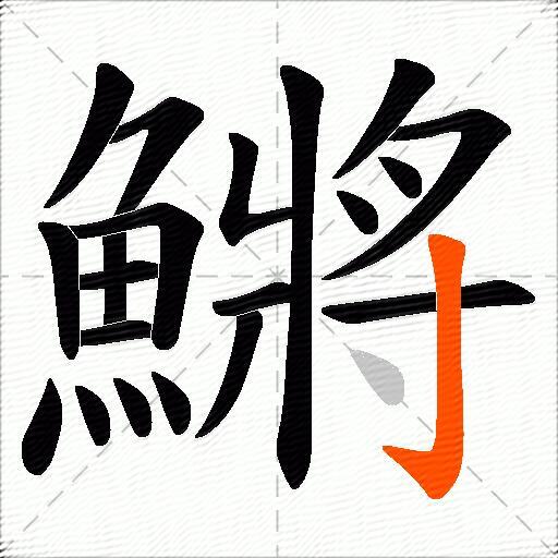 鱂