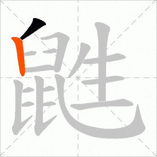 鼪