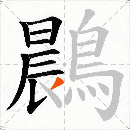 鷐