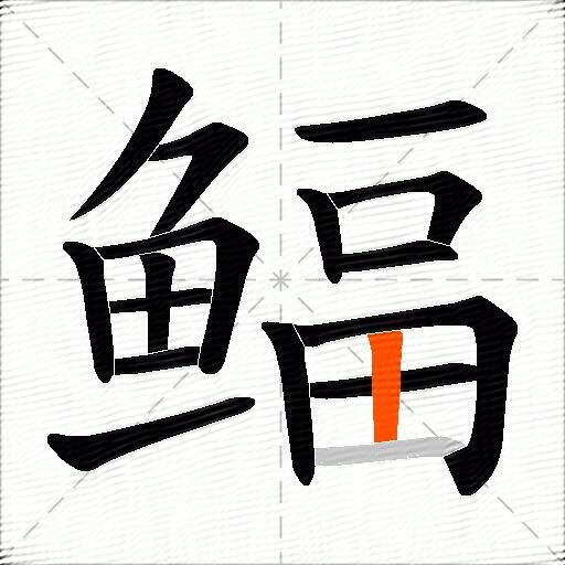 鲾