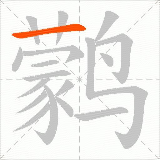 鹲