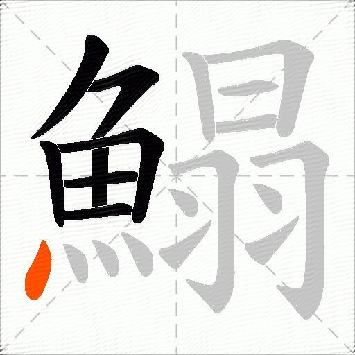 鰨