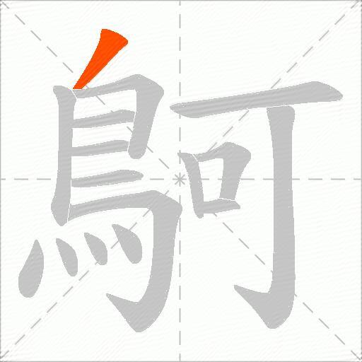 鴚