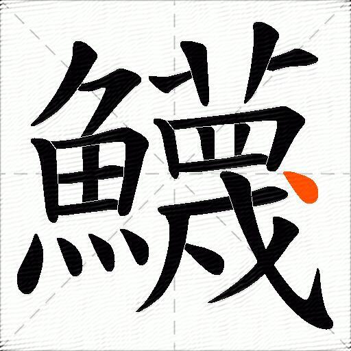 鱴