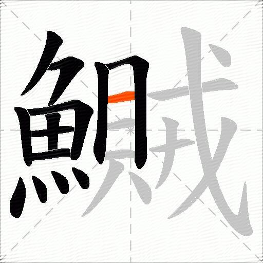 鱡