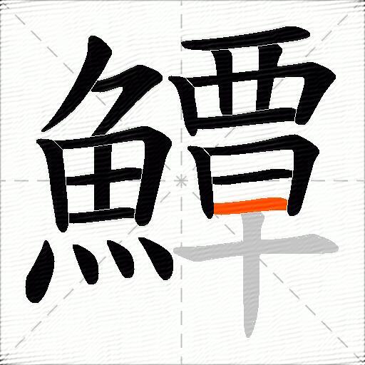 鱏
